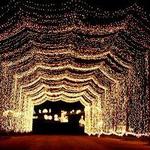 Santa's Magical Kingdom