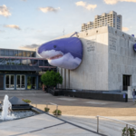 Houston Museum of Natural Science