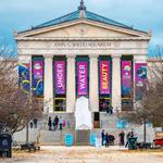 Shedd Aquarium