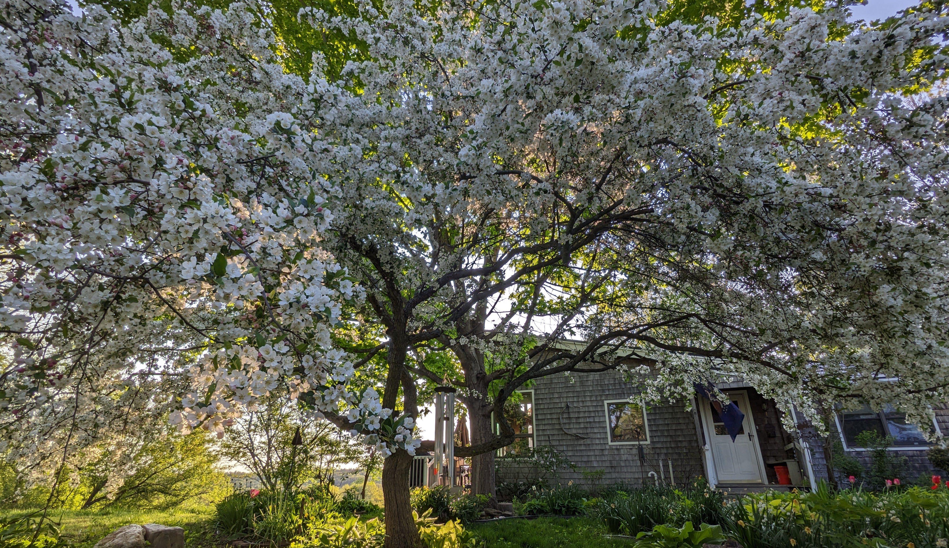 The Wedding Website of Emily Sullivan and Griffin Sherry