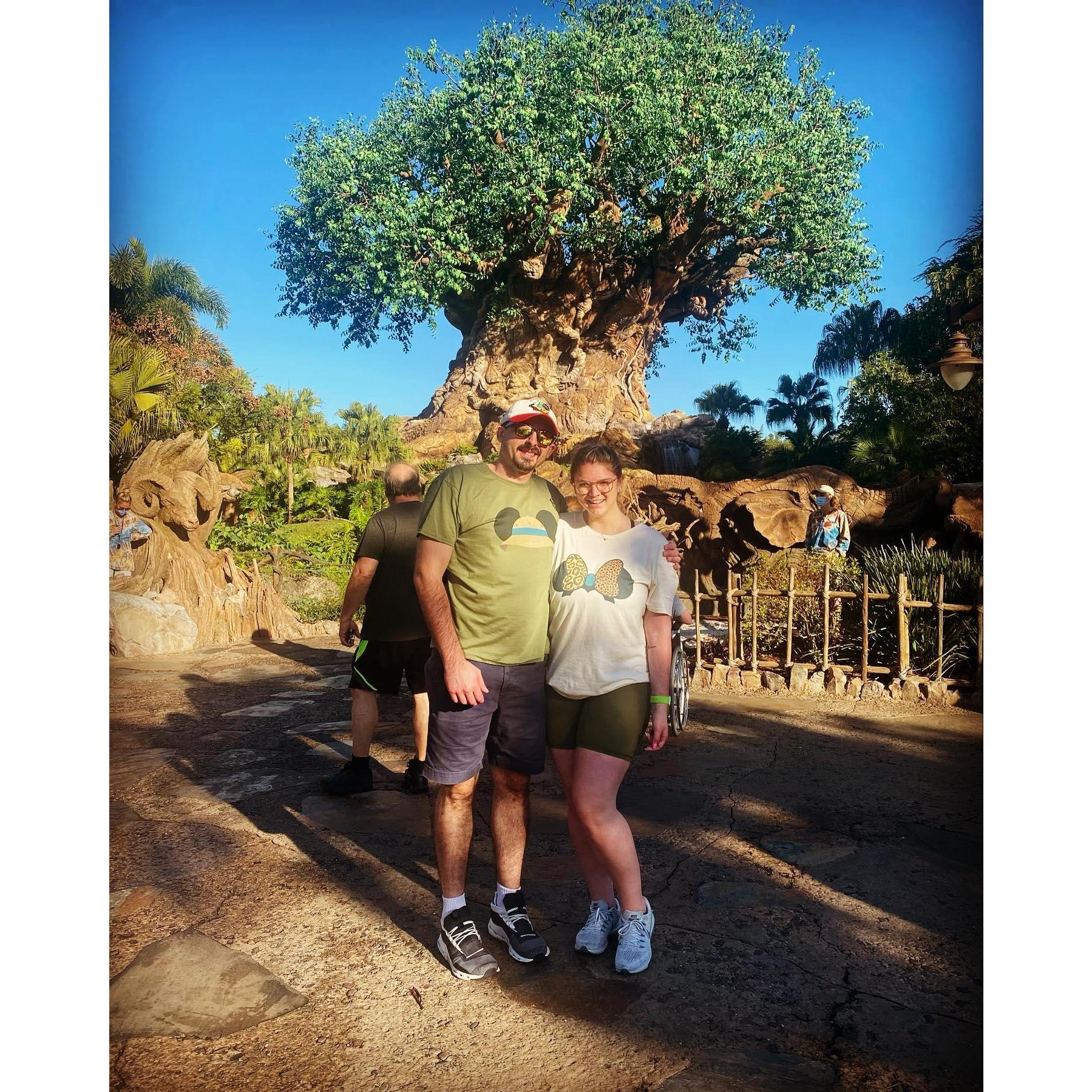 Animal Kingdom - Disney World 2022