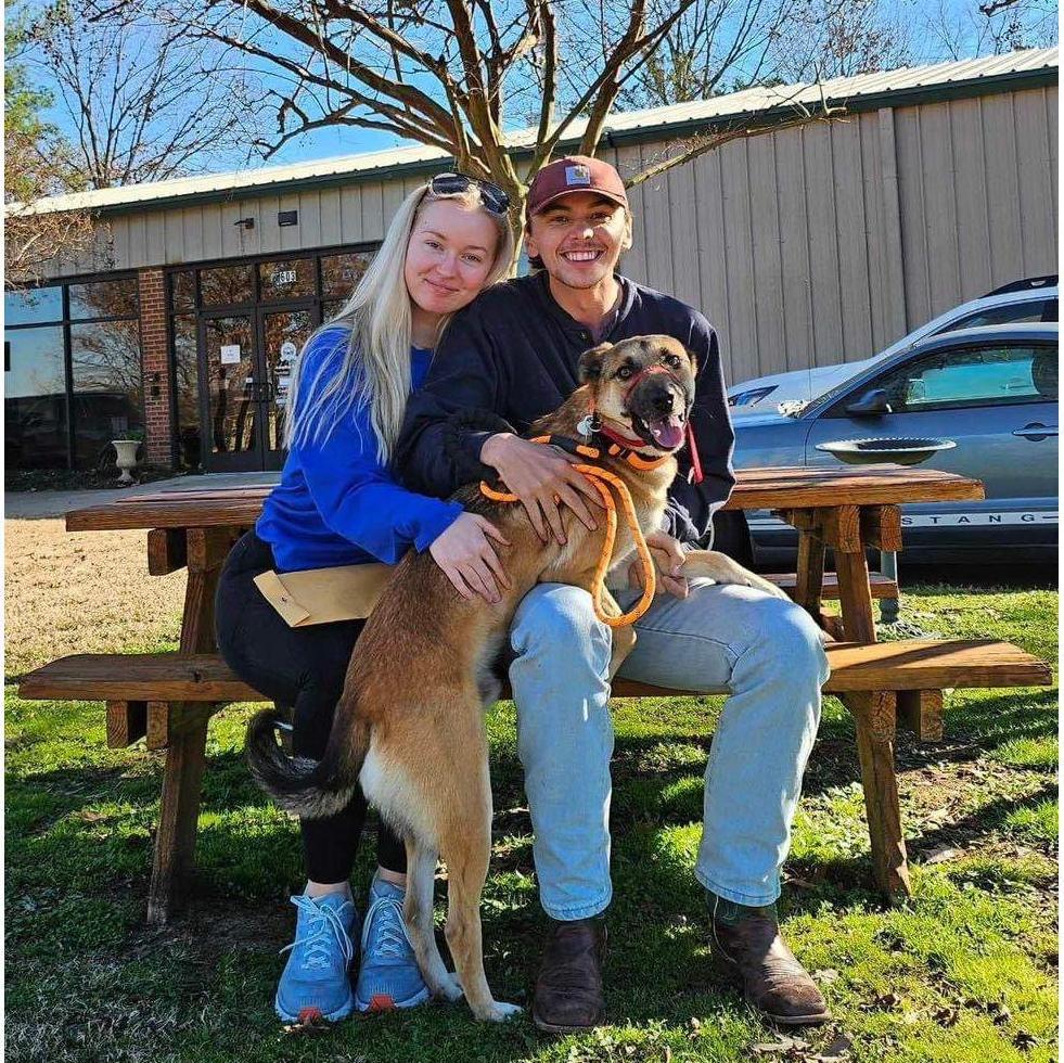 When we adopted Scout