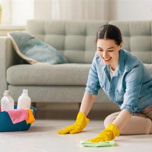 Professional House Cleaning