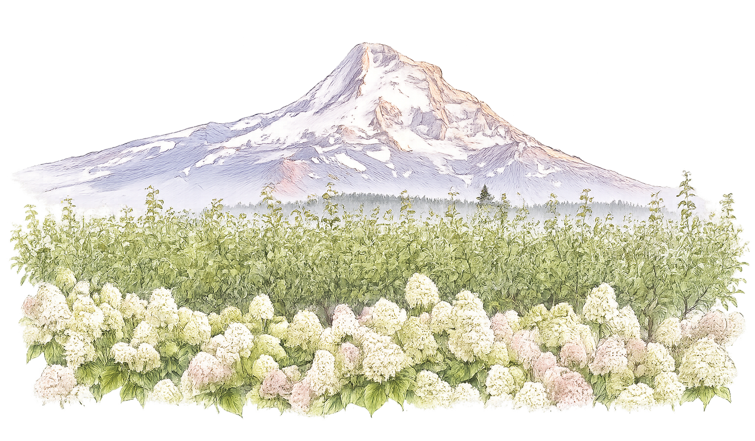 Footer image