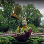 Atlanta Botanical Garden