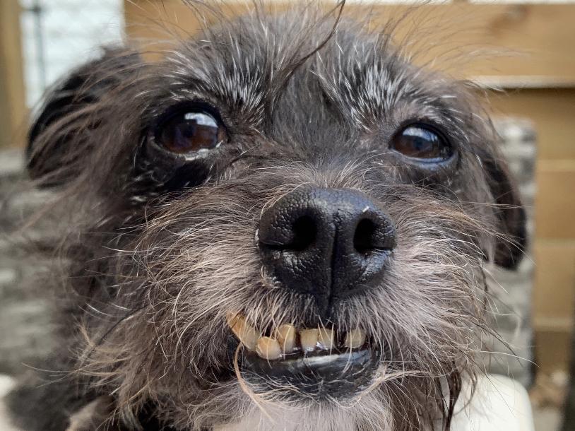 Fund Tinley’s Braces