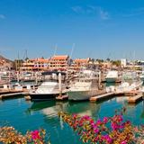 The Cabo San Lucas Marina