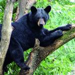 Topeka Zoo & Conservation Center