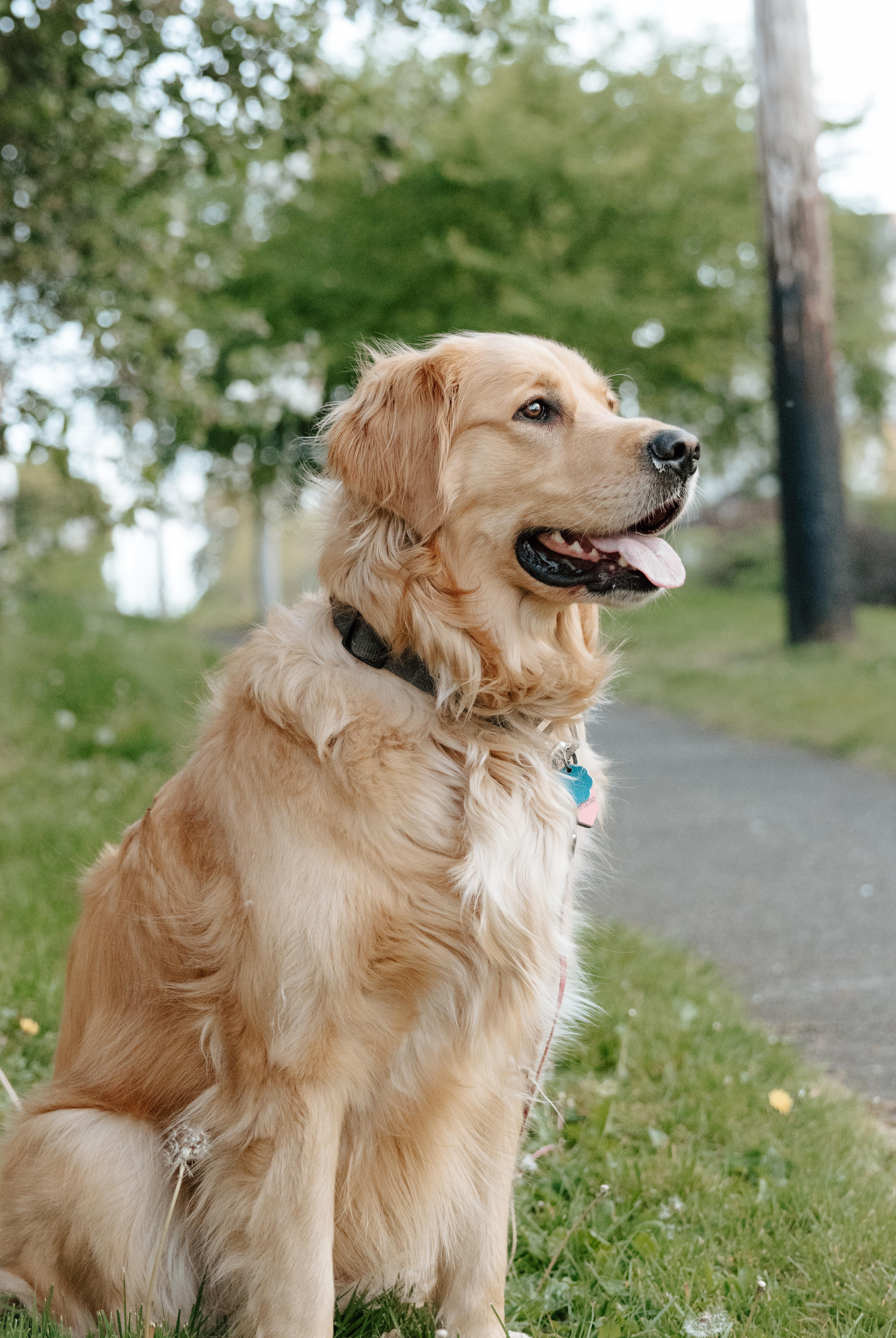 The Wedding Website of Corbin McKee Silva and Liam Wesley Bracken