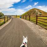 Evel Knievel Snake River Canyon Jump Site