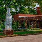 Crazy Water Company