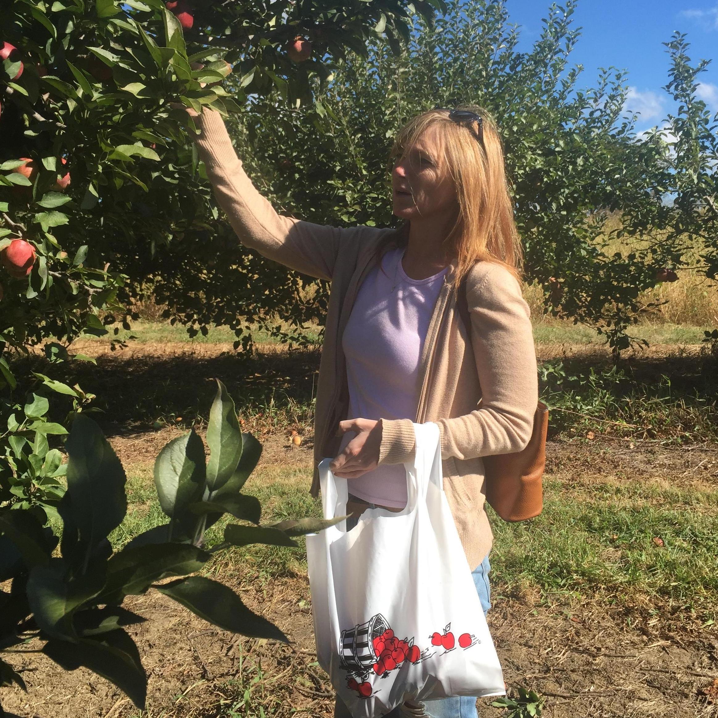 Steve says this is one of his favorite pictures of me when we were out apple picking at a local fruit farm.