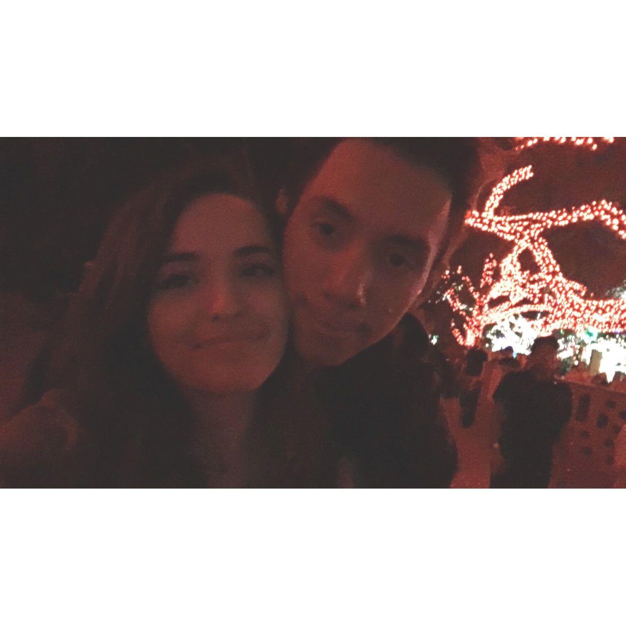Houston Zoo Lights Date 