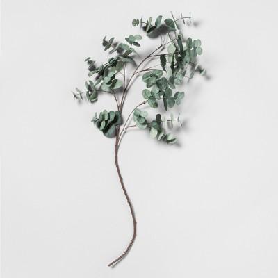 Faux Eucalyptus Stem - Hearth & Hand™ with Magnolia