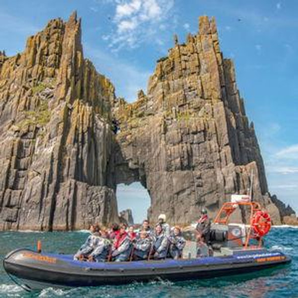 Dingle Sea Safari!