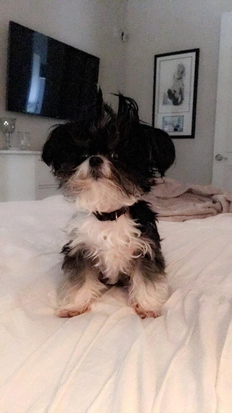Our sweet girl ...