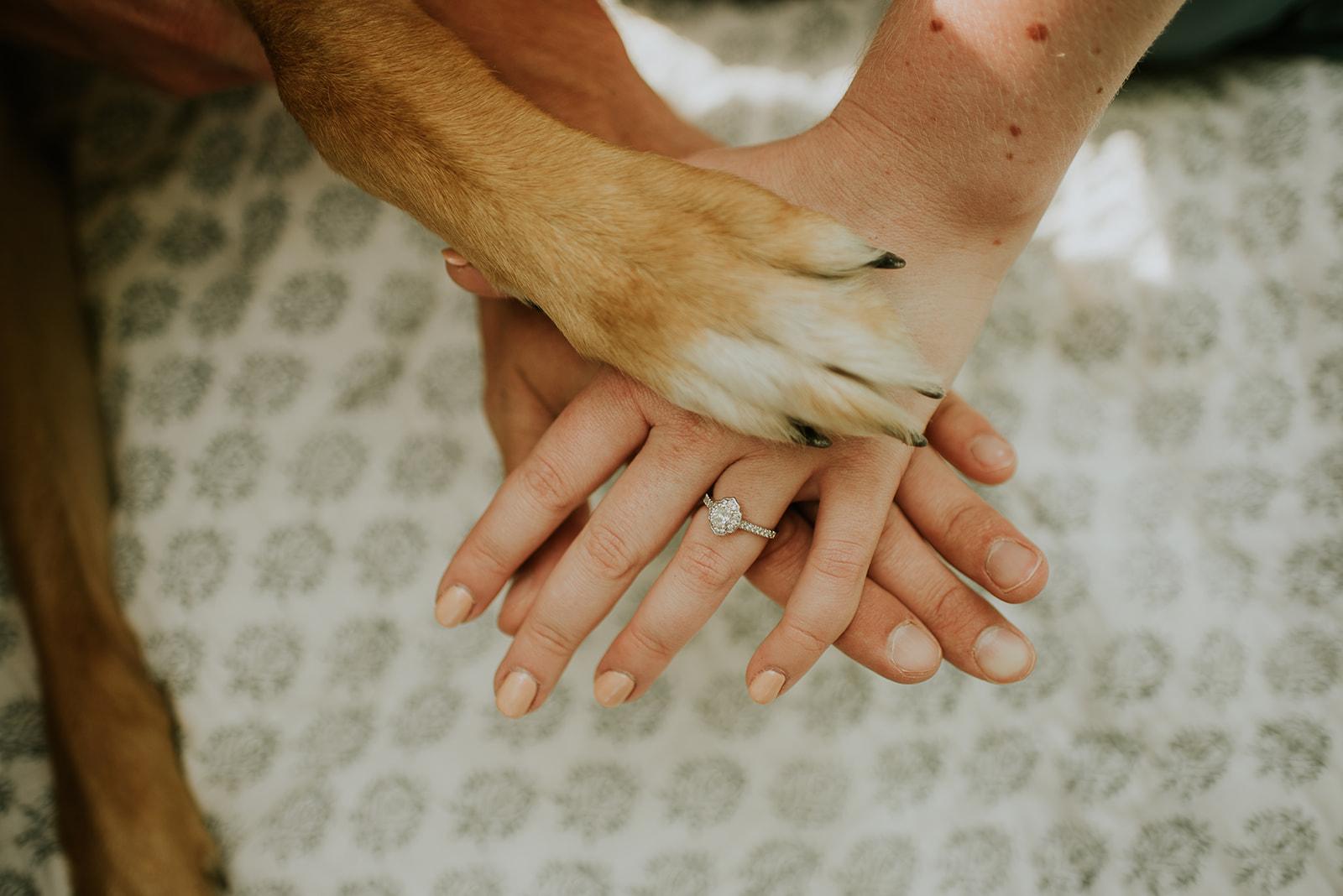 The Wedding Website of David Ludwig and Emily Edelen