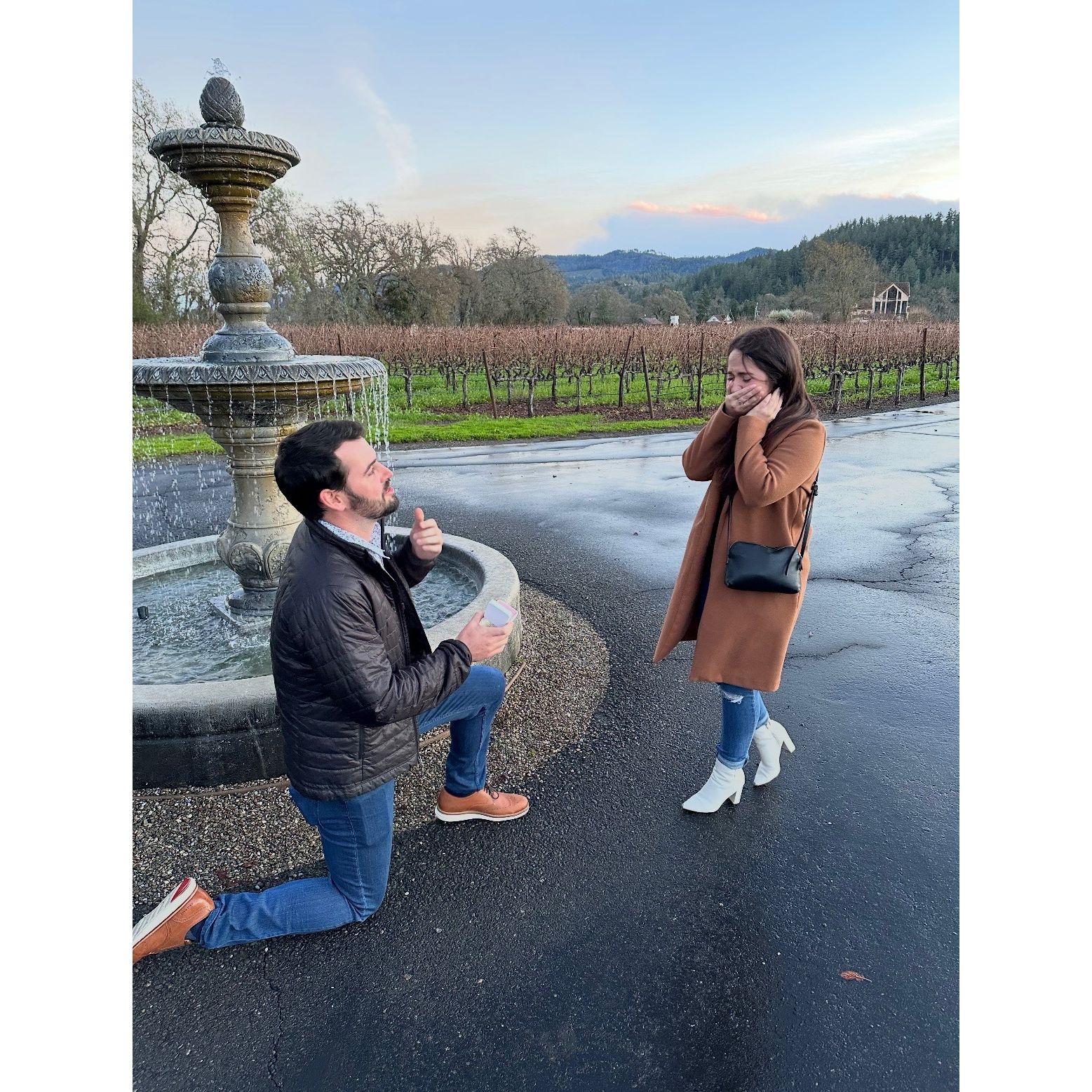 January 6, 2024 - In Napa at Bennet Lane Winery, Tyler asks Sarah to marry him! She bursts into happy tears screaming YES! The best day of their lives thus far.