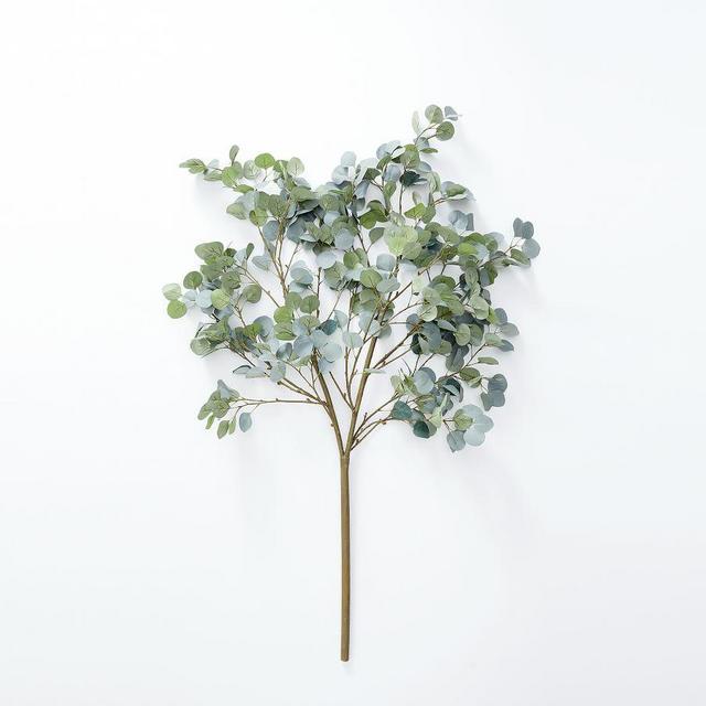 Oversize Silver Dollar Eucalyptus Branch