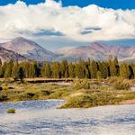 Tuolumne Meadows