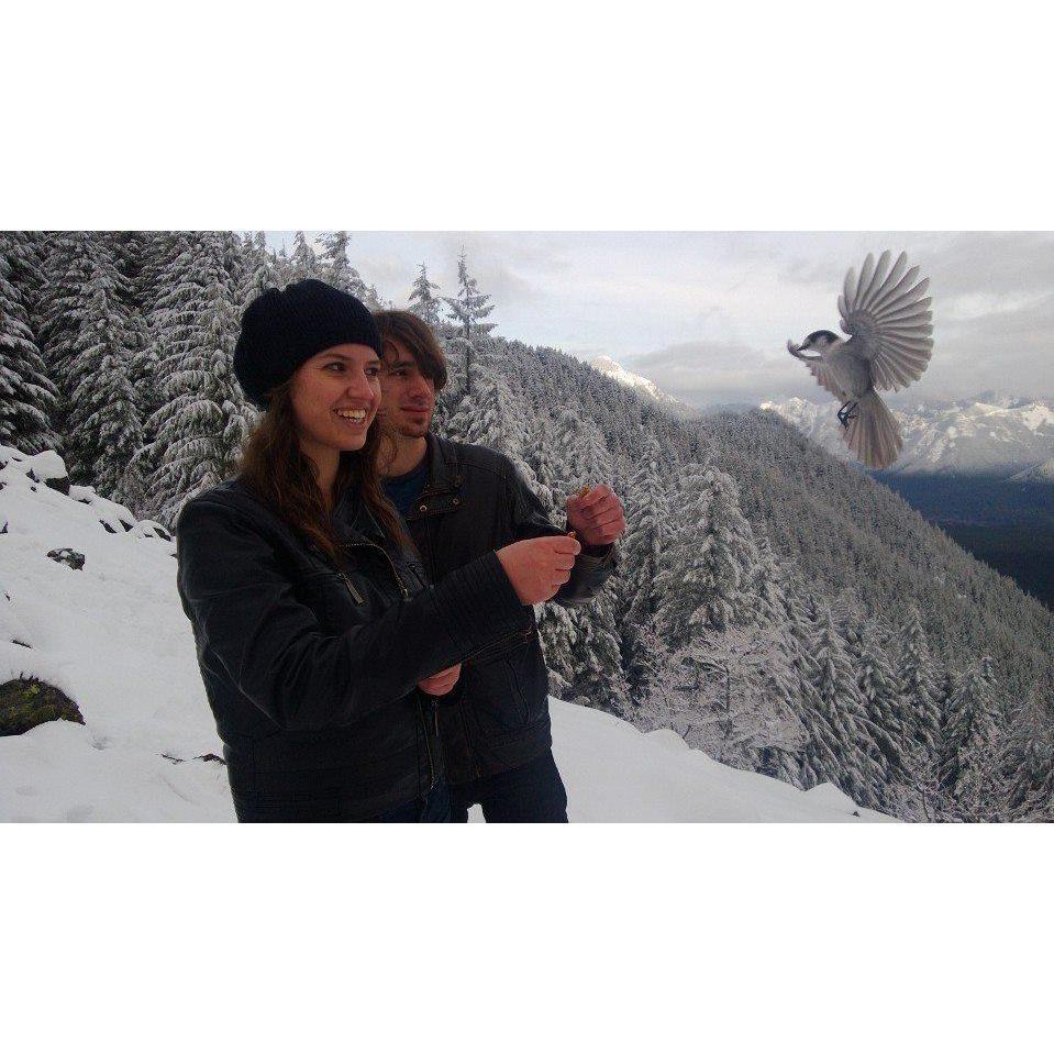 Top of Mount Si, Cascade Mountains, Washington