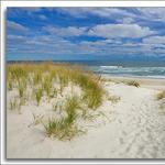 Island Beach State Park