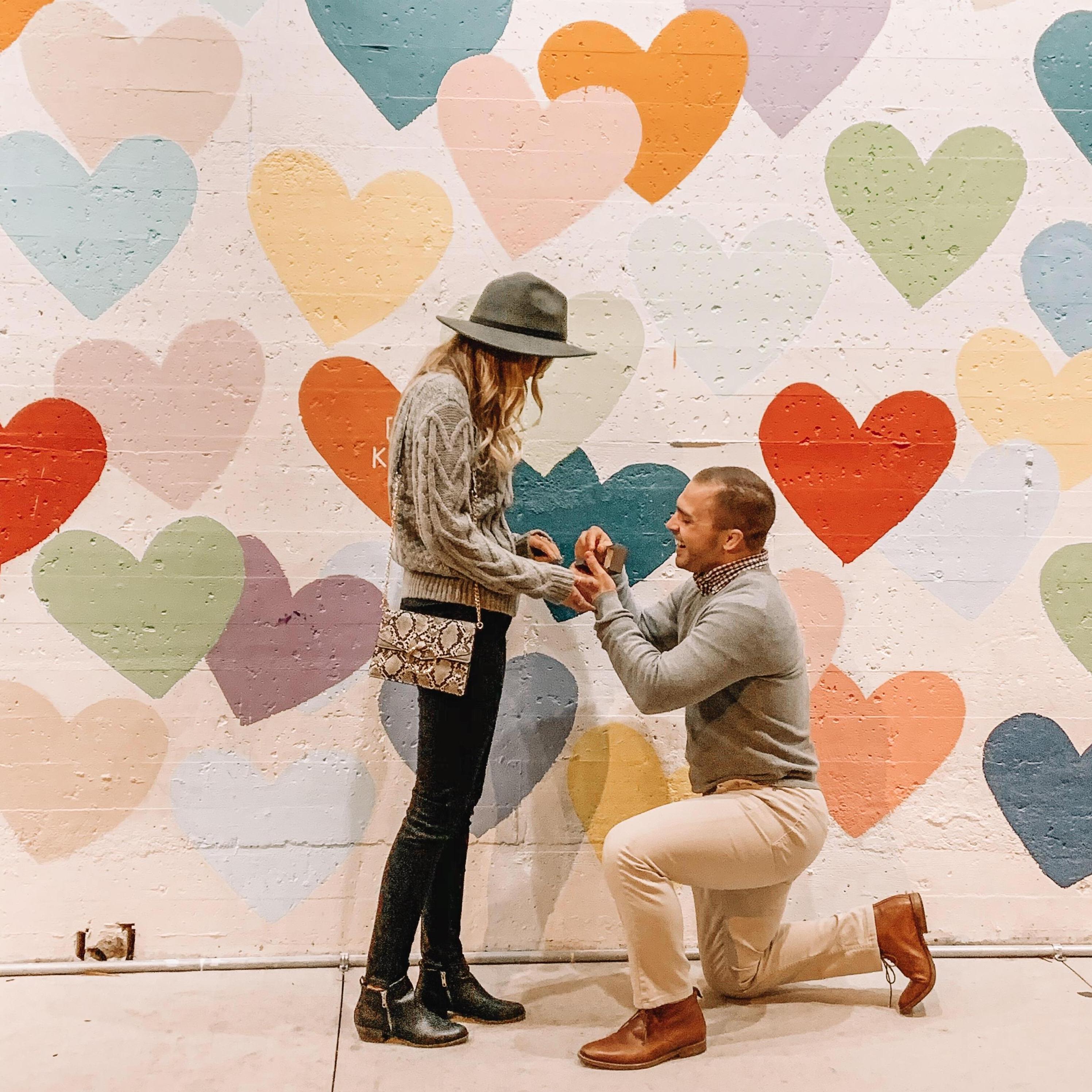 The Proposal, Nov 2019