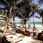 Beach Clubs