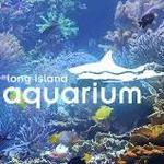 Long Island Aquarium
