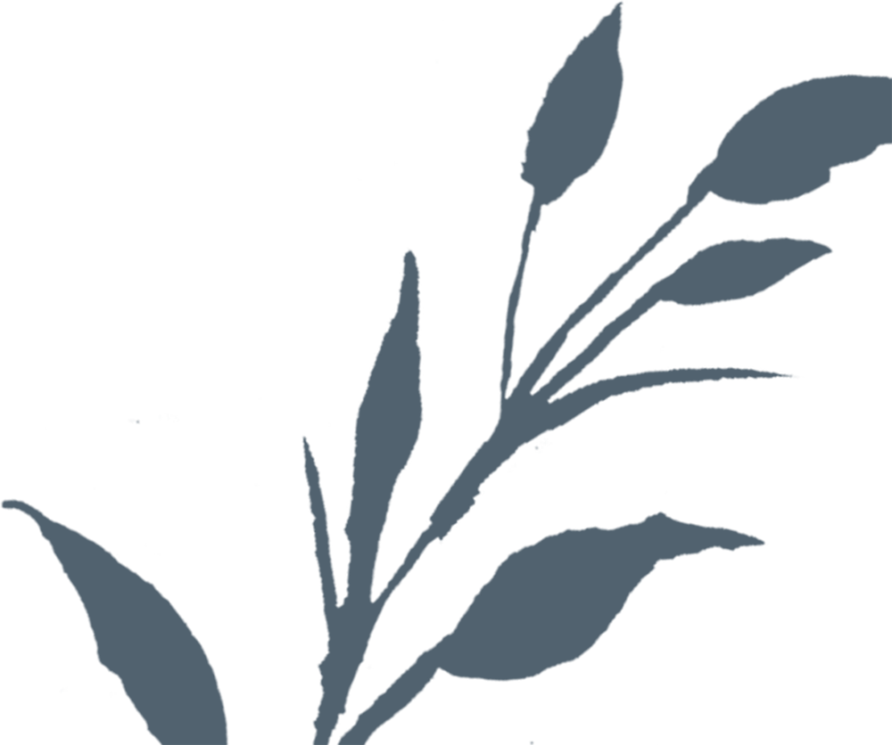 John Van Leeuwen And Maureen McDonald s Wedding Website