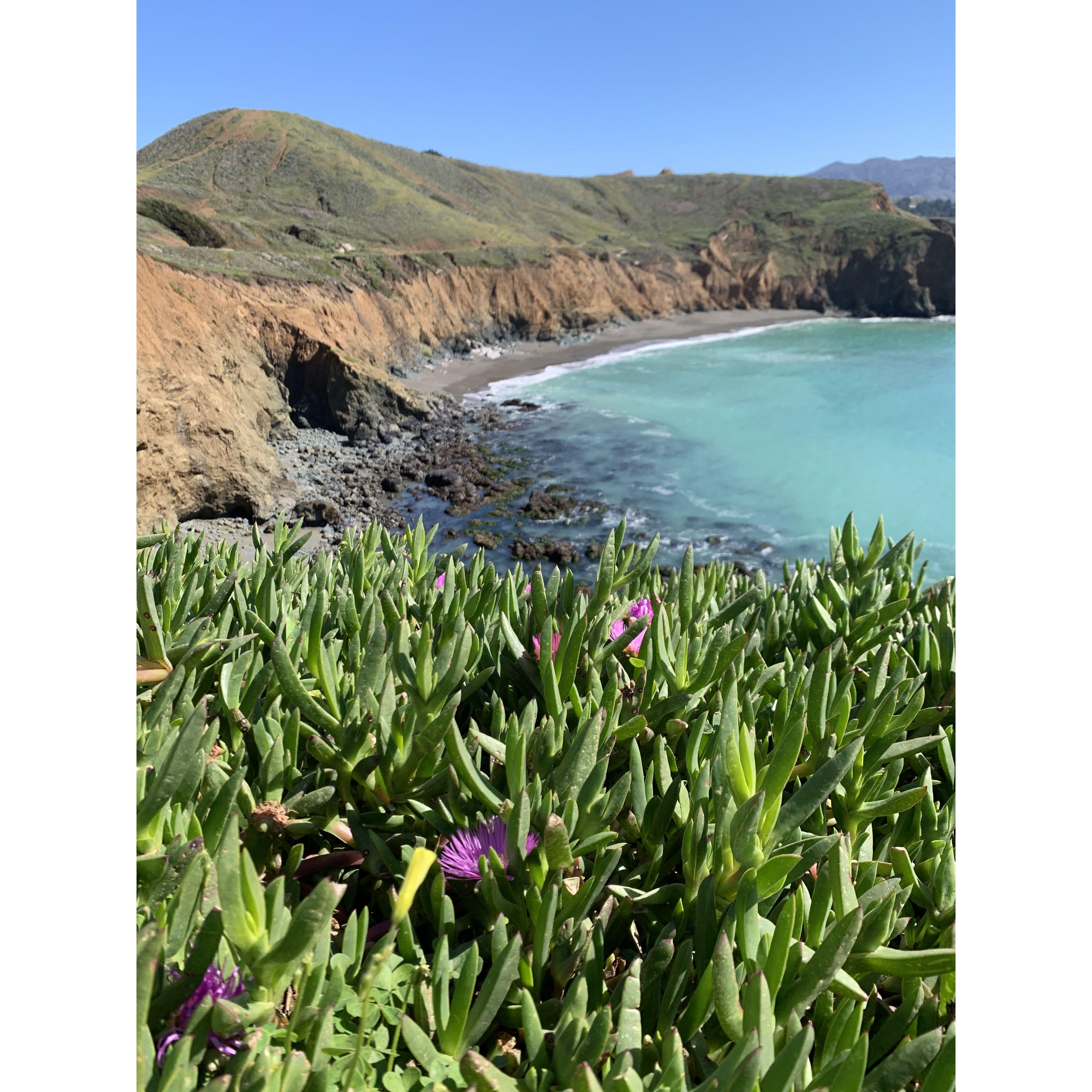 The beautiful Pacifica (home of the International Dog Surfing competition)