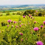 Sky Meadows State Park