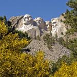 Mount Rushmore + Area attractions (forest roller coasters, cave tours, shopping, hiking...)