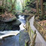 Bushkill Falls
