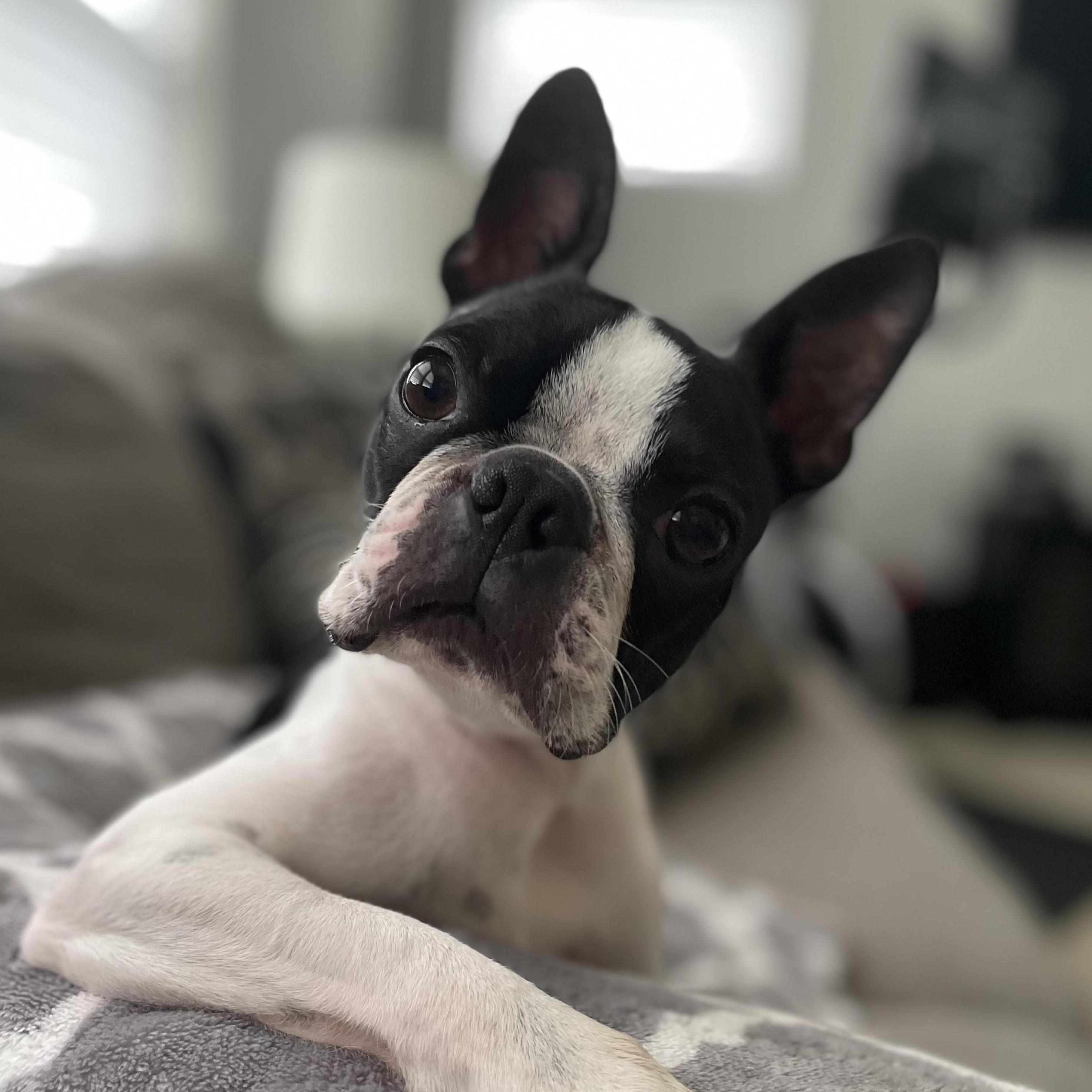 Frank