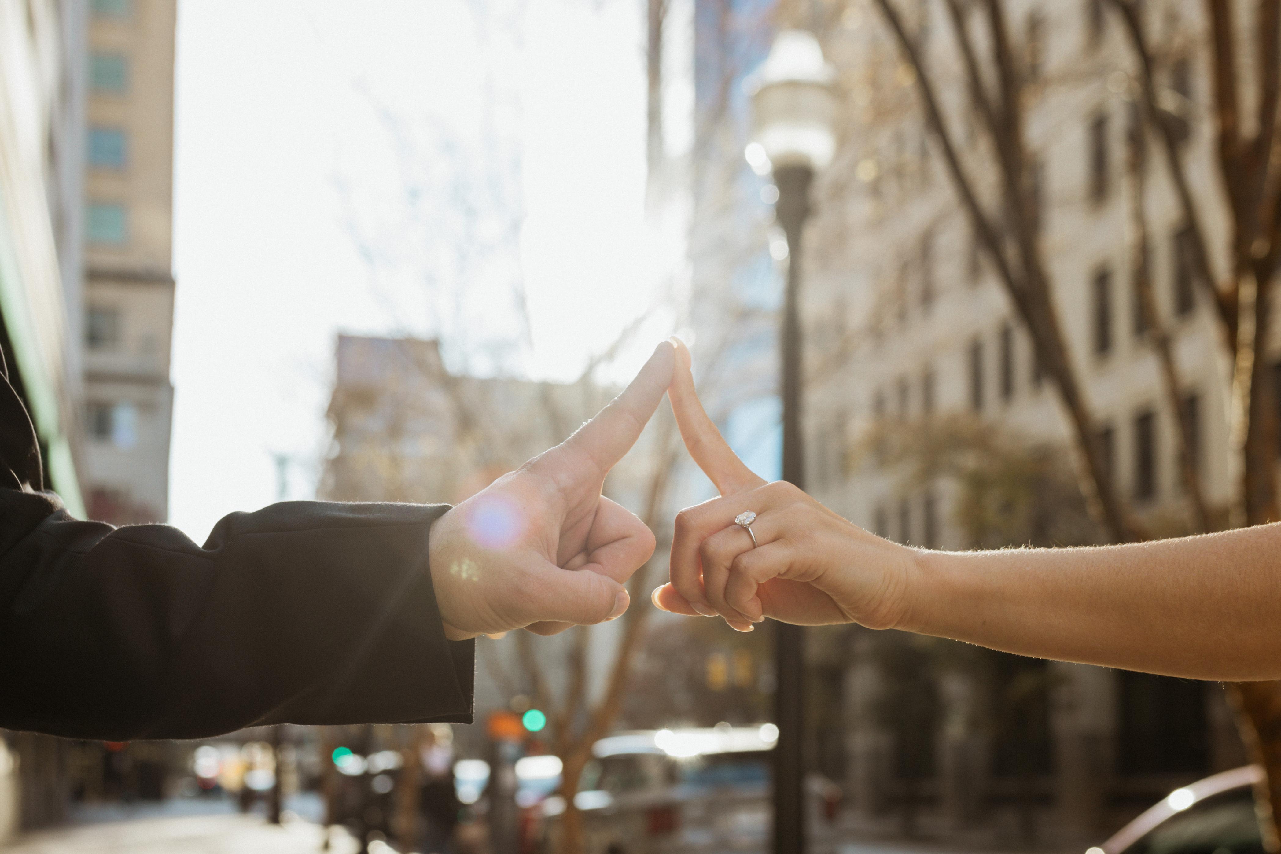 The Wedding Website of Nicole Avila and David George