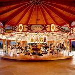 shelby carousel