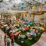 Second Rodeo Brewing