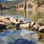 Radium Hot Springs