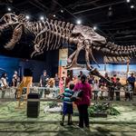 Orlando Science Center