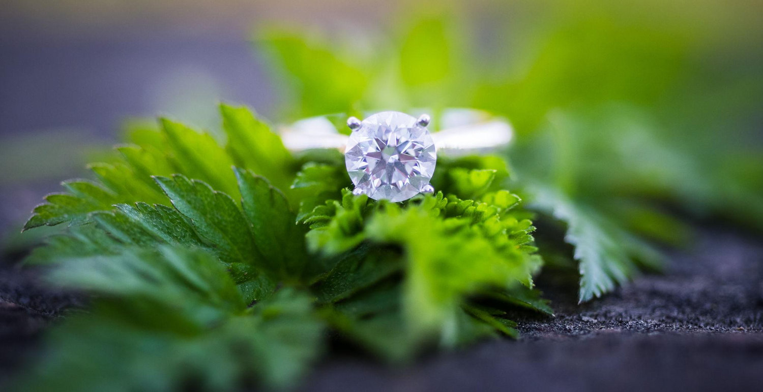 The Wedding Website of Andrew Woerpel and Margaret Lang
