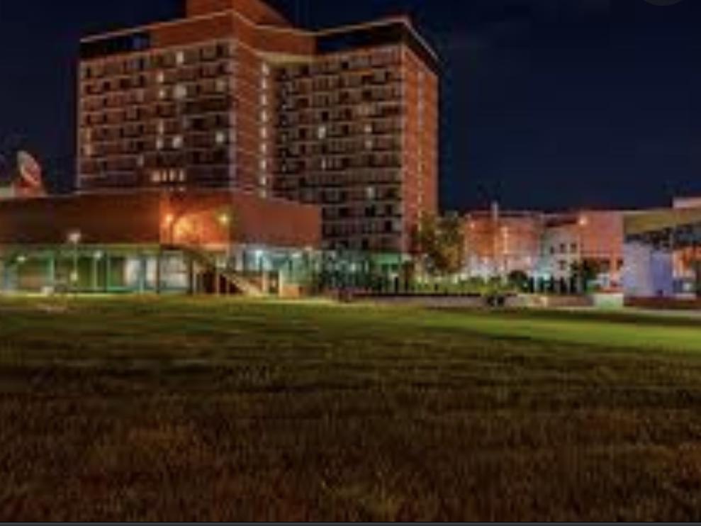 The Wedding Website of Alex Korab and David Casella