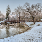 Side Cut Toledo Metropark