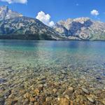 Jenny Lake