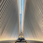 The Oculus