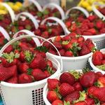Pepper Place Market