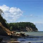 Calvert Cliffs State Park