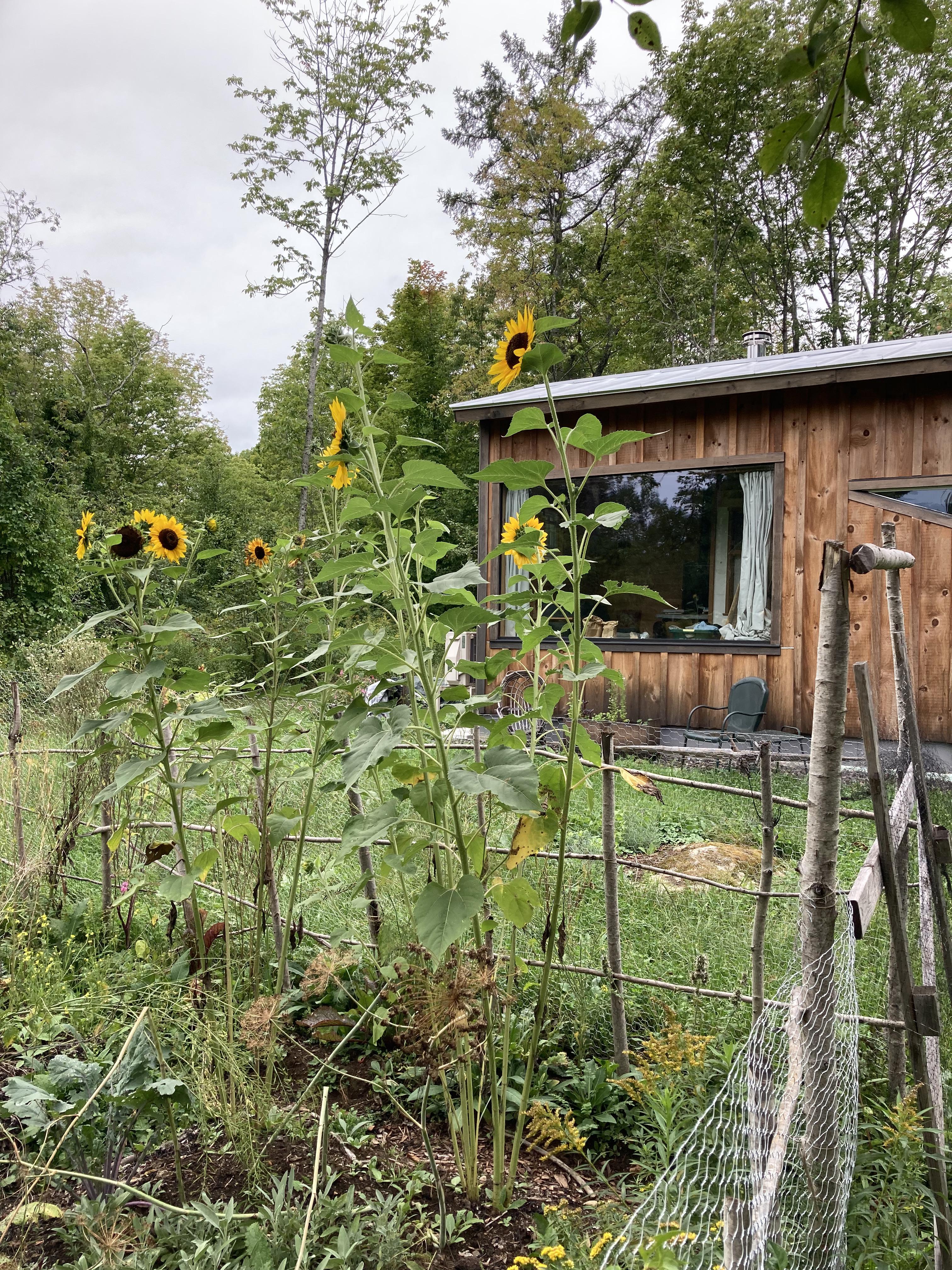 6ab1bd18-47d7-4ae5-a67d-160415147255