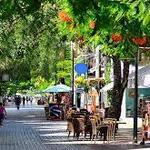 Quinta Avenida Norte