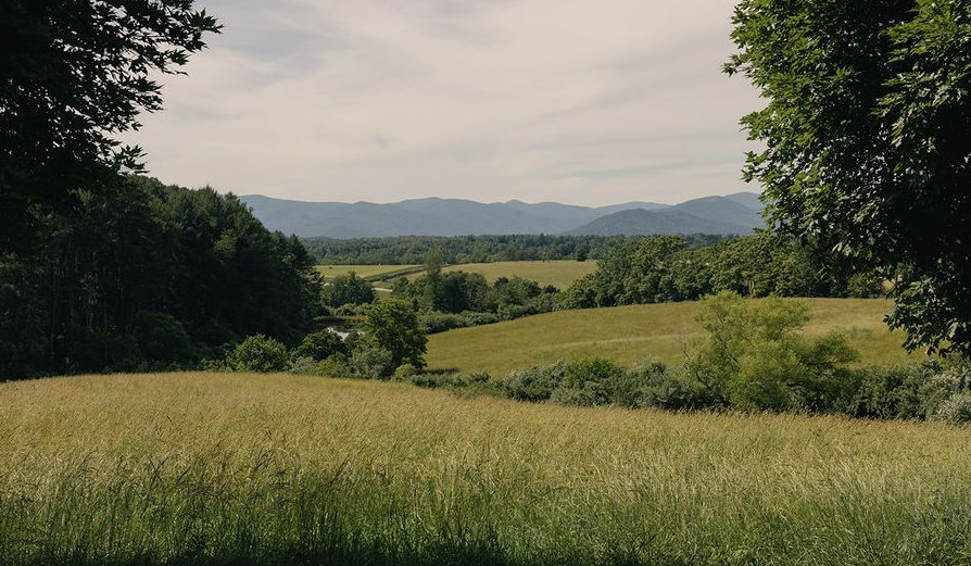 The Wedding Website of Jack Whitehead and Jordan Koontz